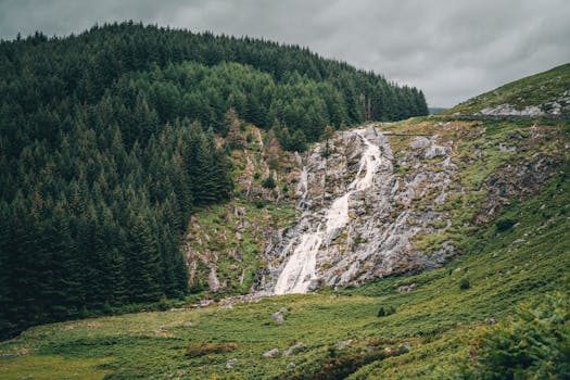 Breathtaking view of a waterfall cascading amidst lush green forests in Wicklow, Ireland.