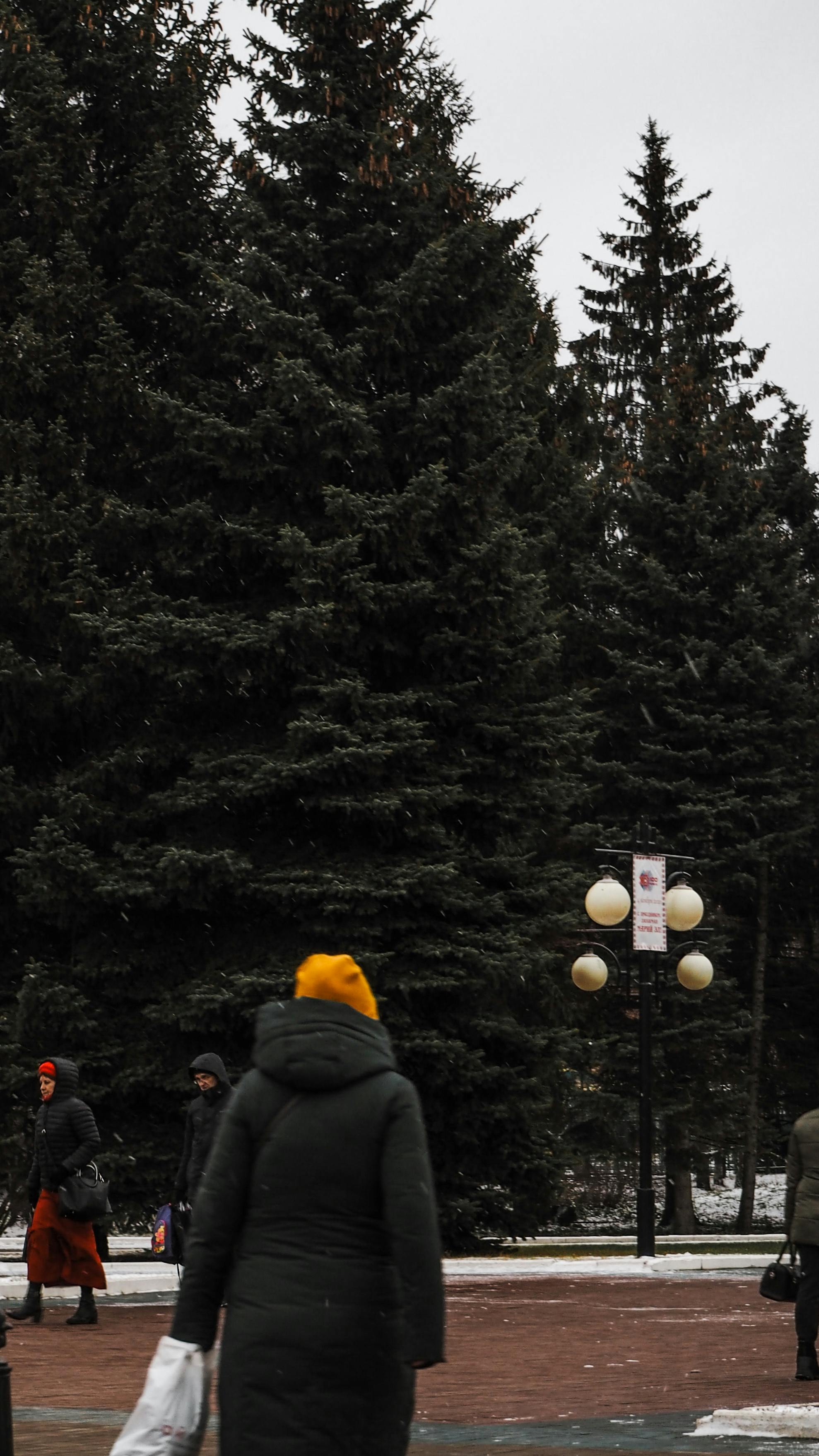 Plato tradicional de comida kazaja