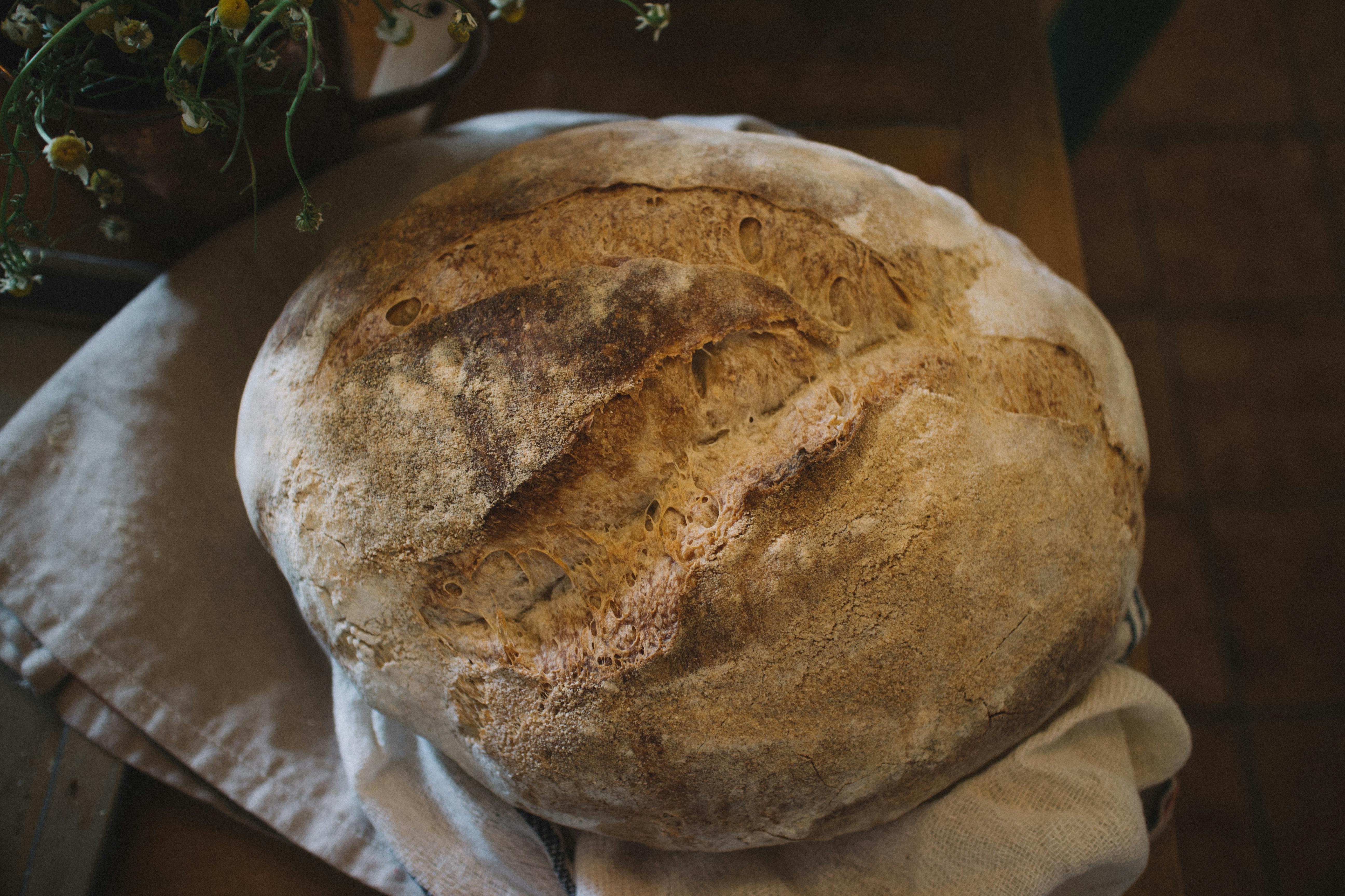 Sourdough Photos, Download The BEST Free Sourdough Stock Photos & HD Images