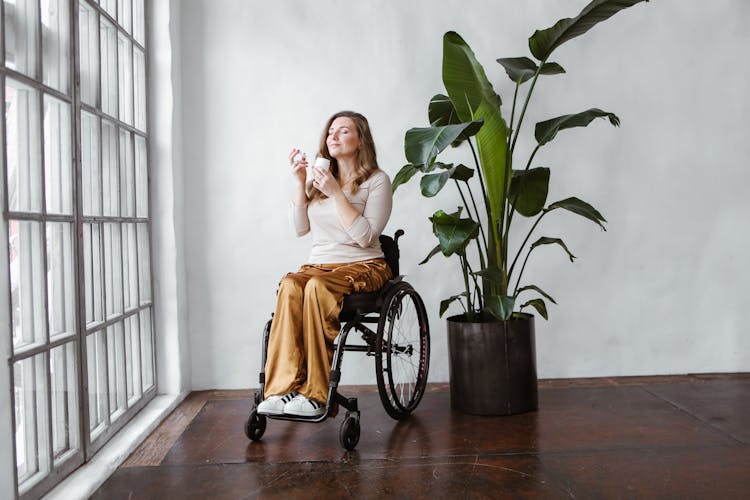 A Woman Sitting On The Wheelchair Near The Green Plant