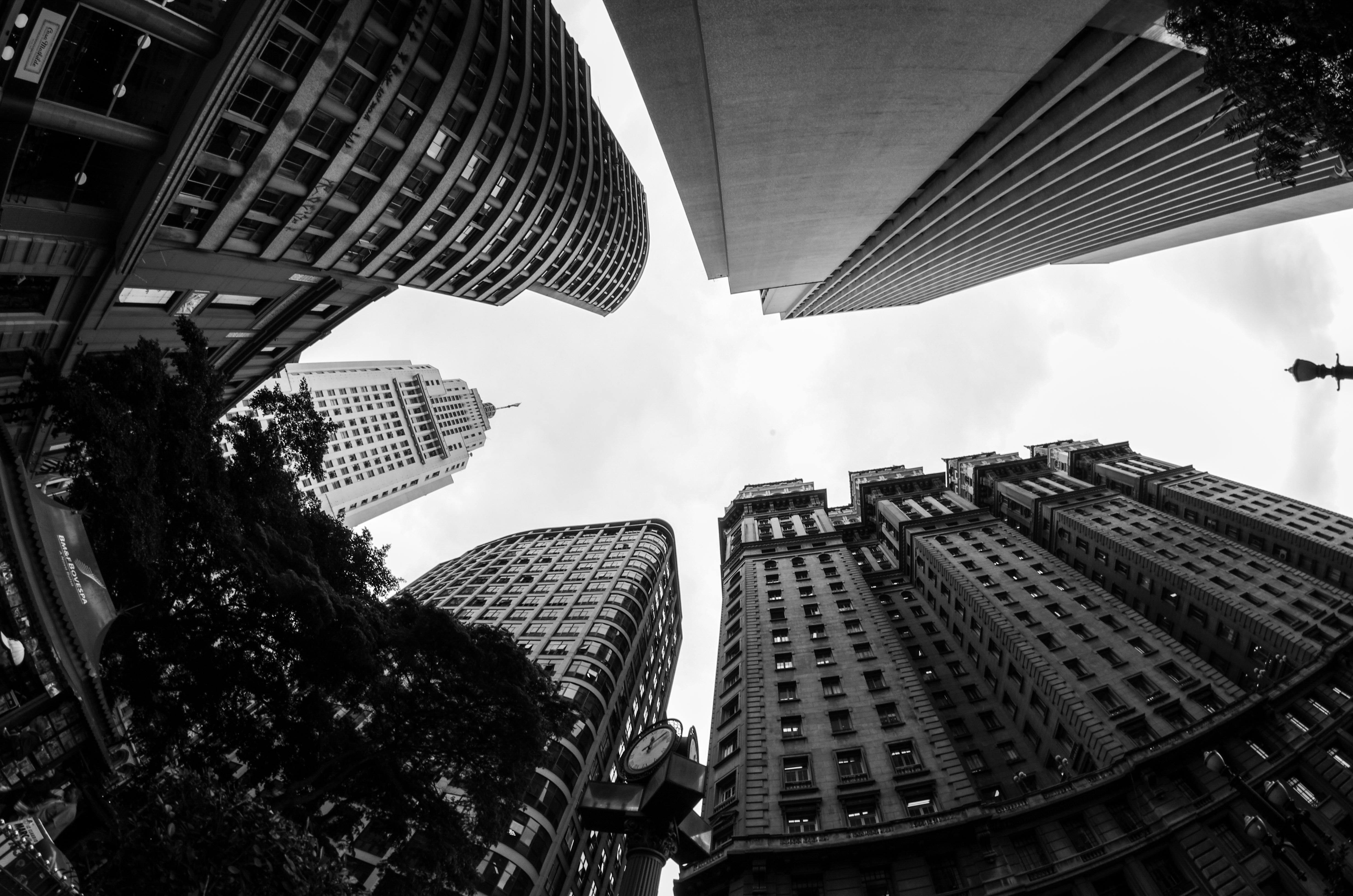 Black And White City Photos, Download The BEST Free Black And White City Stock Photos & HD Images Black And White City Photos, Download The BEST Free Black And White City Stock Photos & HD Images