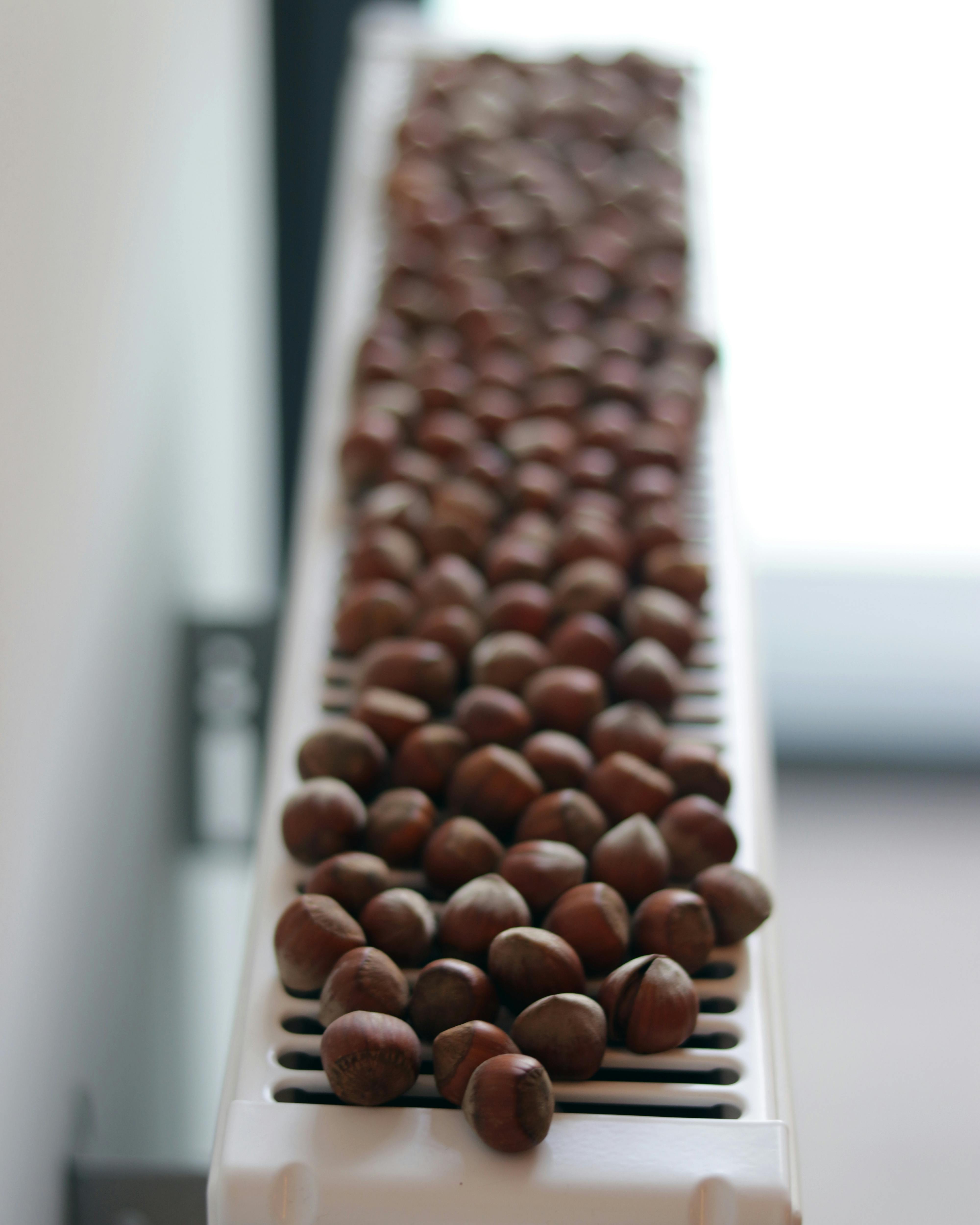 37+ Best Free Heater Stock Photos & Images · 100% Royalty-Free HD Downloads