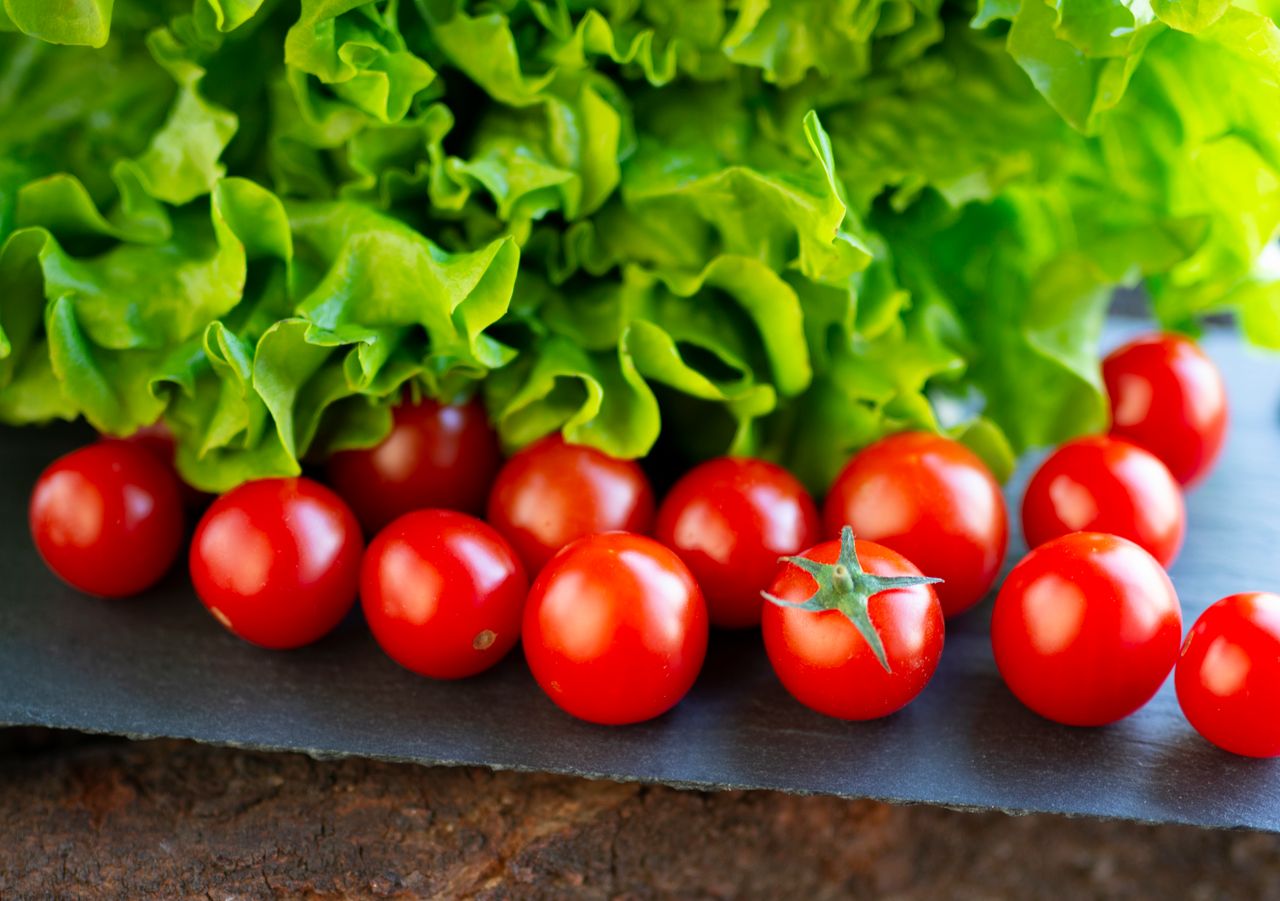 Rappel national : tomates espagnoles d'Auchan contenant trop d'acétamipride