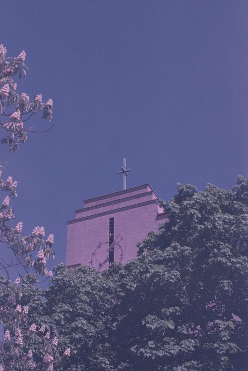 Free A tall church tower with a cross visible above lush trees under a clear sky. Stock Photo