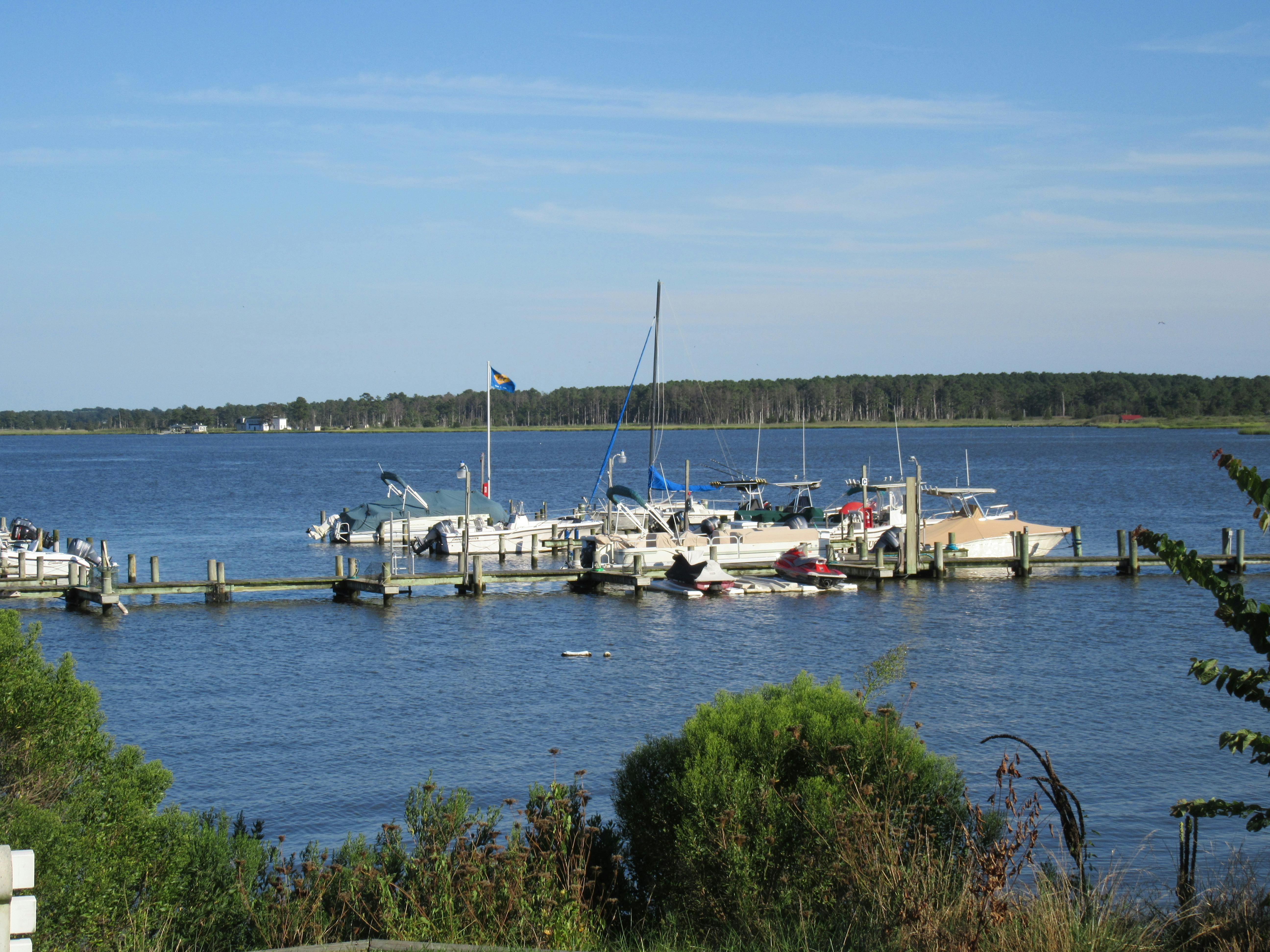 Free stock photo from BELINDA · Pexels