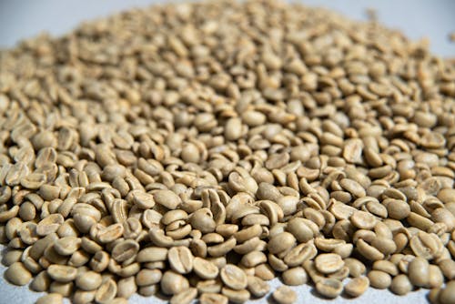 Close-Up Shot of Coffee Beans 