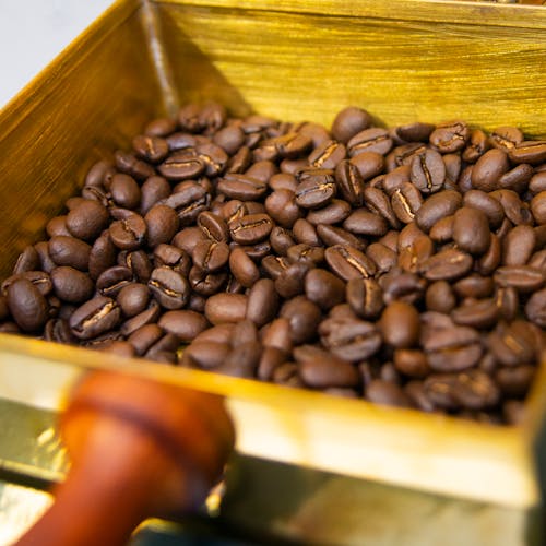 Coffee Beans in Close Up Photography