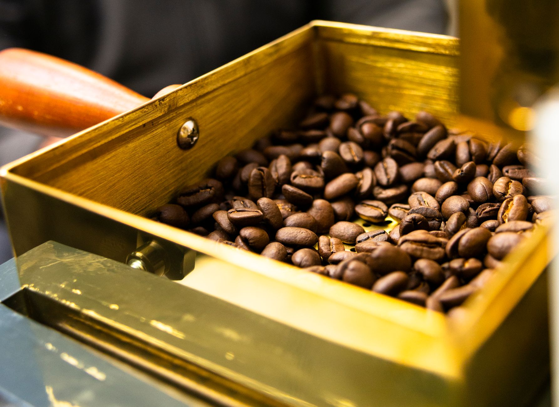 Close-up of roasted coffee beans in a golden tray, emphasizing rich aroma and quality.