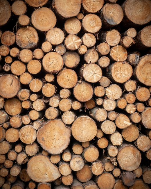 A detailed view of neatly piled tree logs, showcasing natural textures and wood grain patterns.