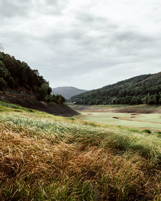 Dramatic view of grassy hills and forest under a cloudy sky in Germany.