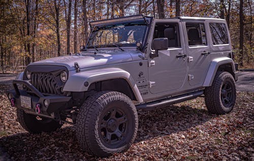 Gray Jeep Wrangler Parked in the Forest 