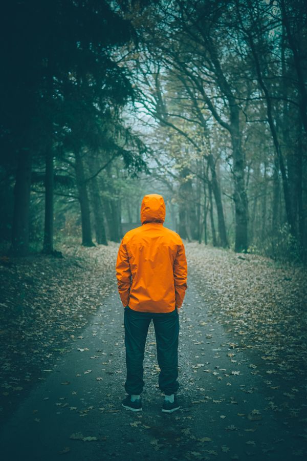 Mossy forest path — Yevhen Sukhenko on Pexels
