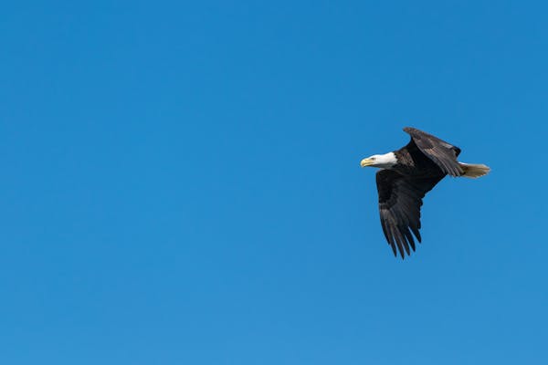 Backyard with neat edges and trimmed plants