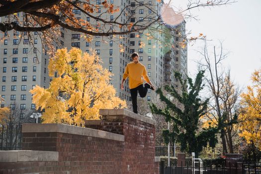 The Fall Guy (2026) Review: Ryan Gosling's Best Action Comedy in Years