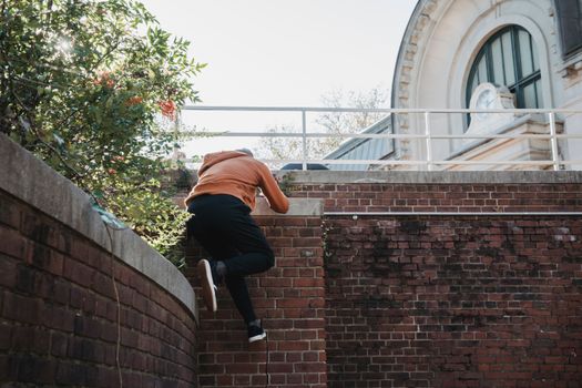 Back view full body male tracer wearing casual clothes climbing brick wall against old building on sunny weather
