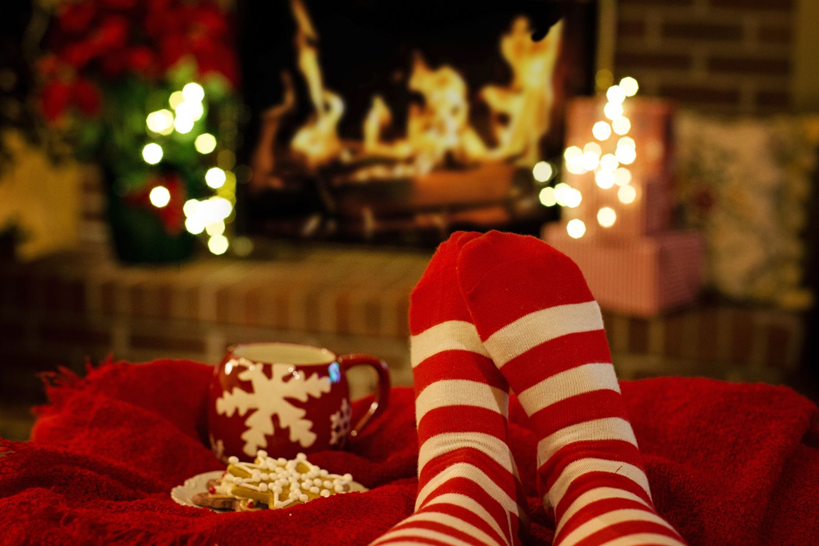 Warm socks by the fire paint by numbers