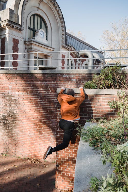 Back view full body of anonymous active male athlete jumping on wall while practicing dangerous hobby in city