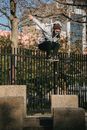 Active man jumping on stone border