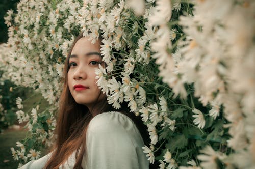 Kostnadsfri bild av asiatisk kvinna, blomning, daisy