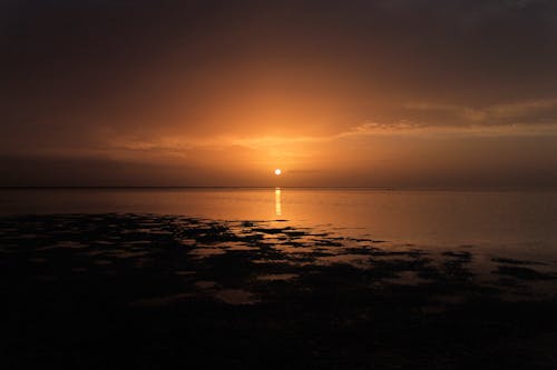 Бесплатное стоковое фото с восход, горизонт, живописный