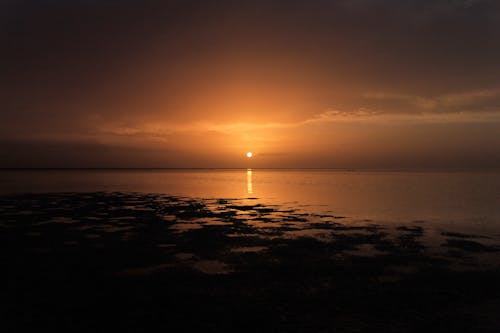 Scenic View of a Beach during Sunset