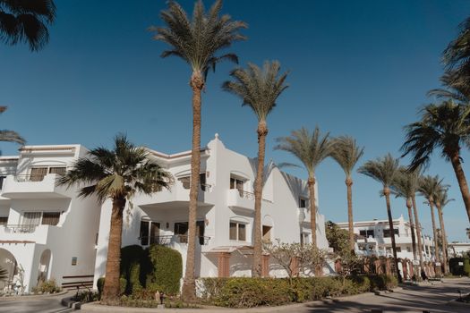 Stunning view of white Mediterranean-style villas lined with tall palm trees under a clear blue sky.