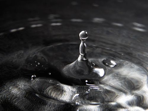 Free Close-up of a water droplet impact creating ripples on a dark surface, capturing the delicate balance and beauty of nature. Stock Photo