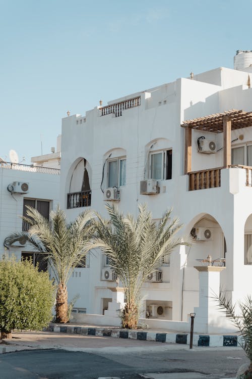 Palm Trees outside a Building