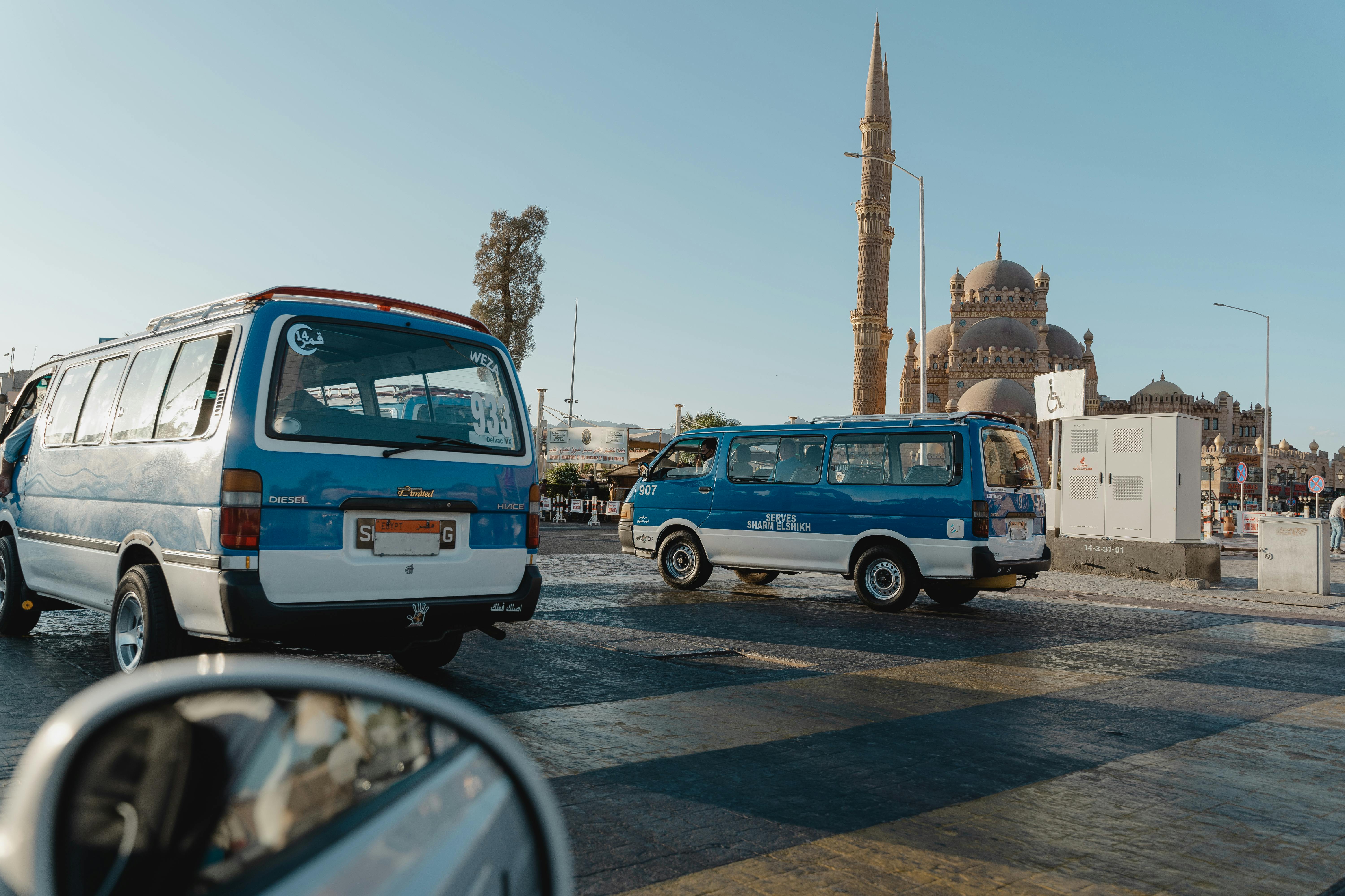 buses on street