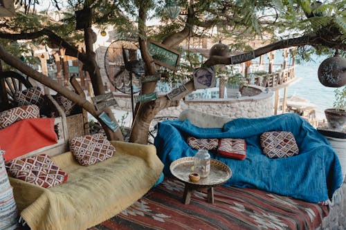 ağaç, kanepeler, Mısır içeren Ücretsiz stok fotoğraf