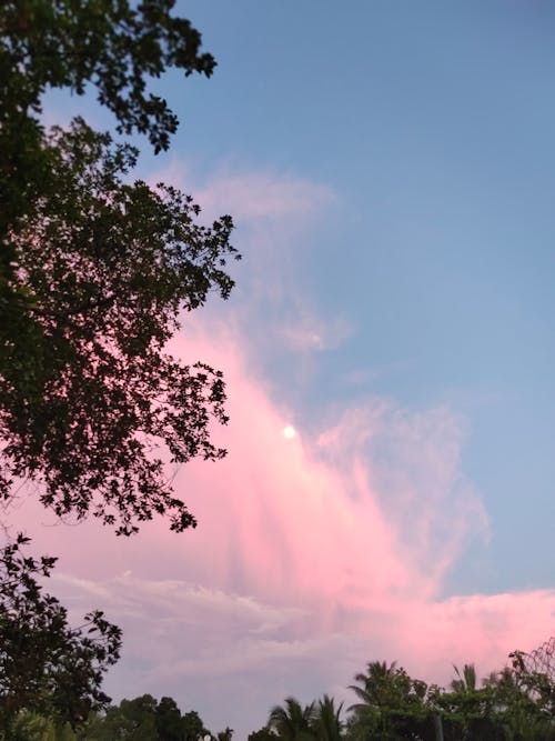 Základová fotografie zdarma na téma moody nebe, mrak, slunce