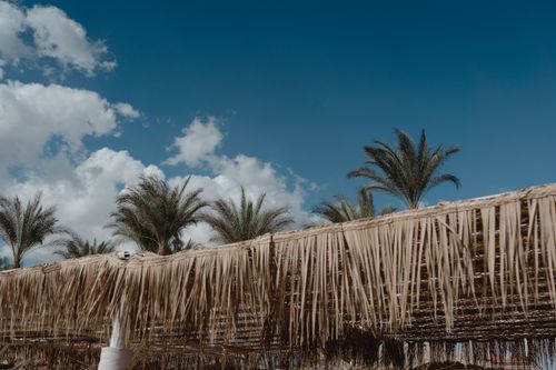 Free A traditional nipa hut roof with palm trees under a vibrant blue sky with fluffy clouds. Stock Photo