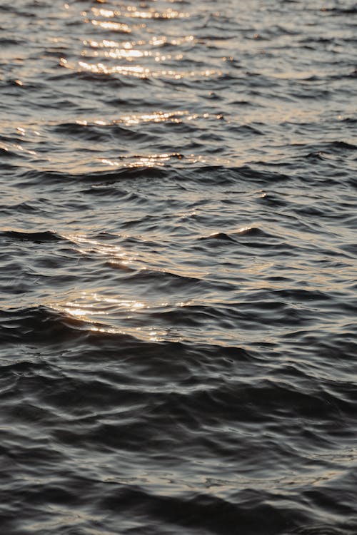 Darmowe zdjęcie z galerii z fale, lśniący, morze