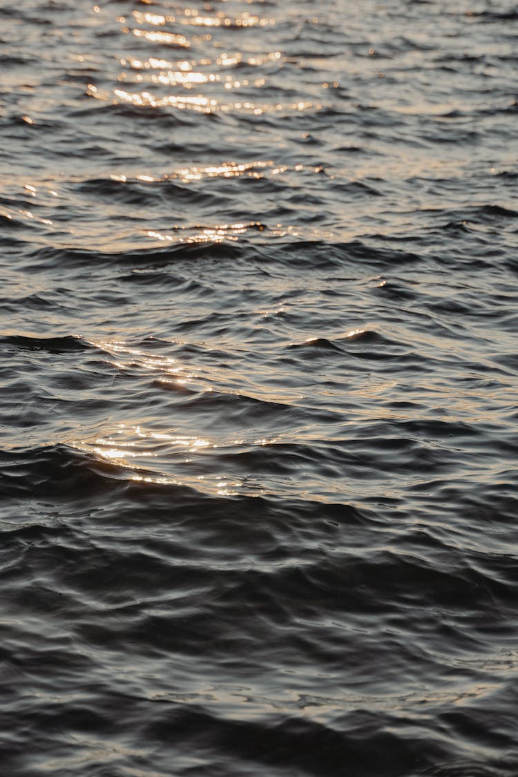 Waves On Water Surface