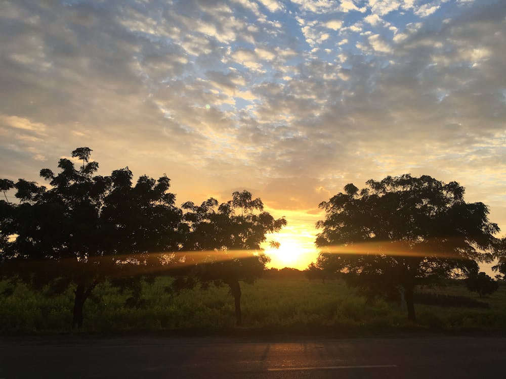 Free stock photo of cloud, evening sun, golden sun