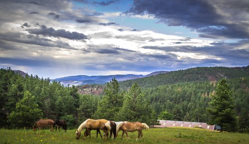 Free stock photo of landscape, mountains, nature Stock Photo