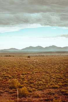 Expansive desert landscape with distant mountain range under a cloudy sky.