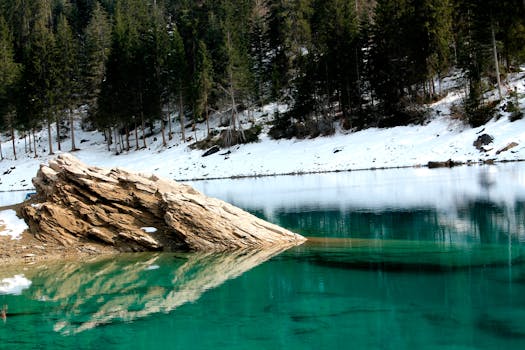 Scenic winter view of a serene lake in Flims, Switzerland, surrounded by snowy woods. by Roly Vasquez