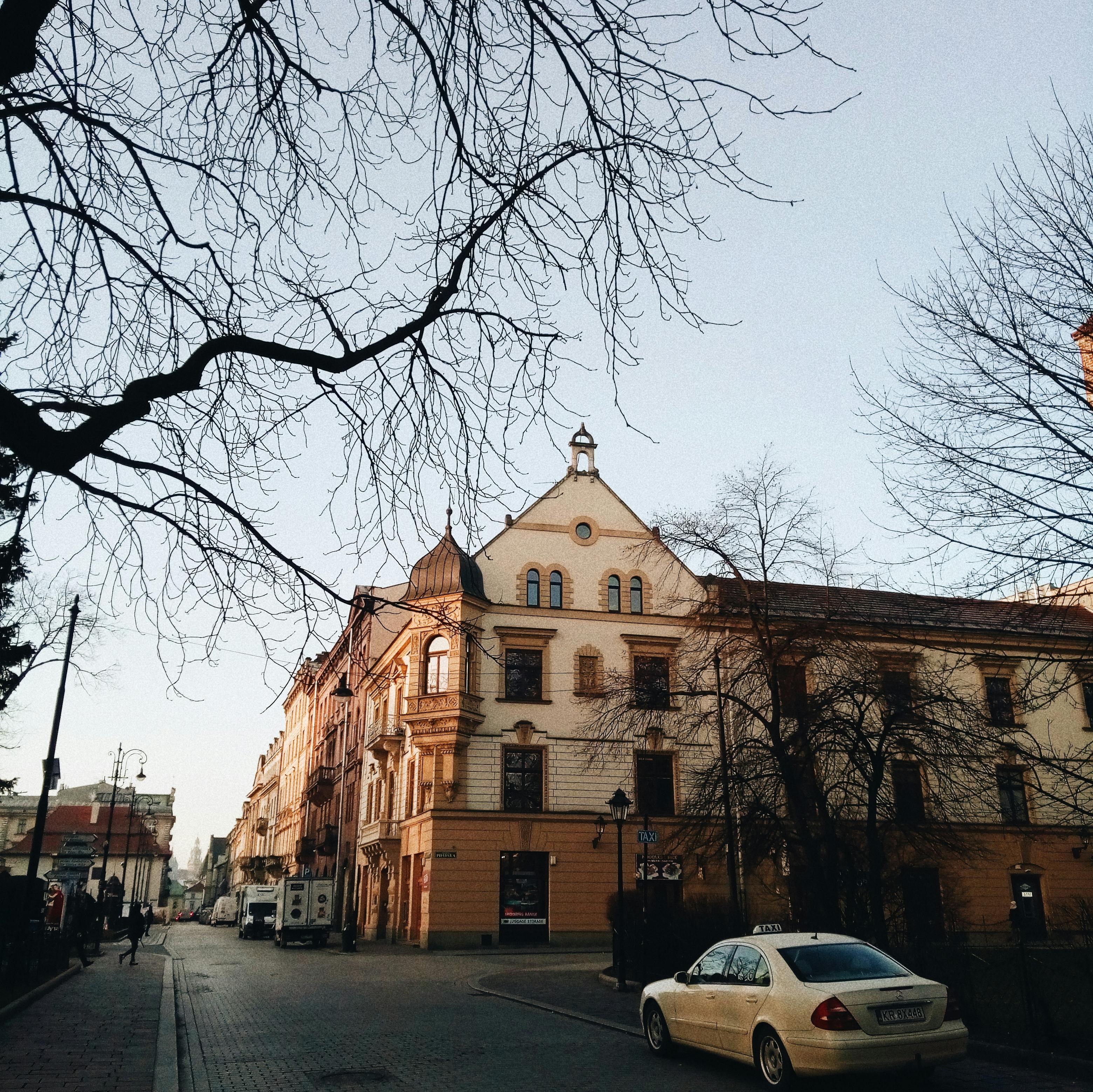 Charming urban scene with classic European architecture, bare trees, and parked cars at sunset.