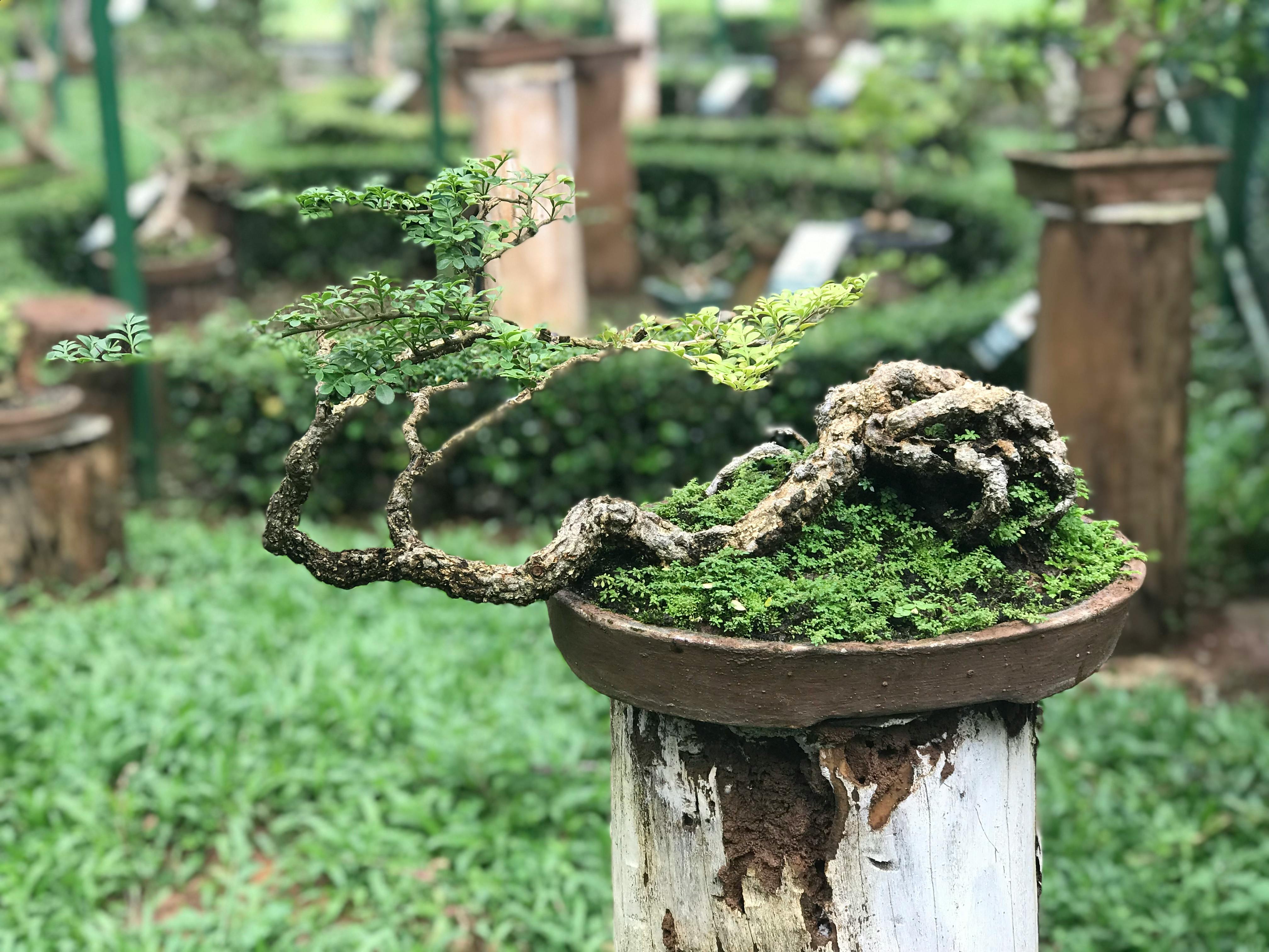 Clinical research setting with brain scan images on monitors