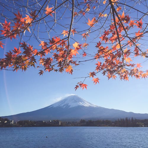 Free Scenic View Of Mount Fuji Stock Photo