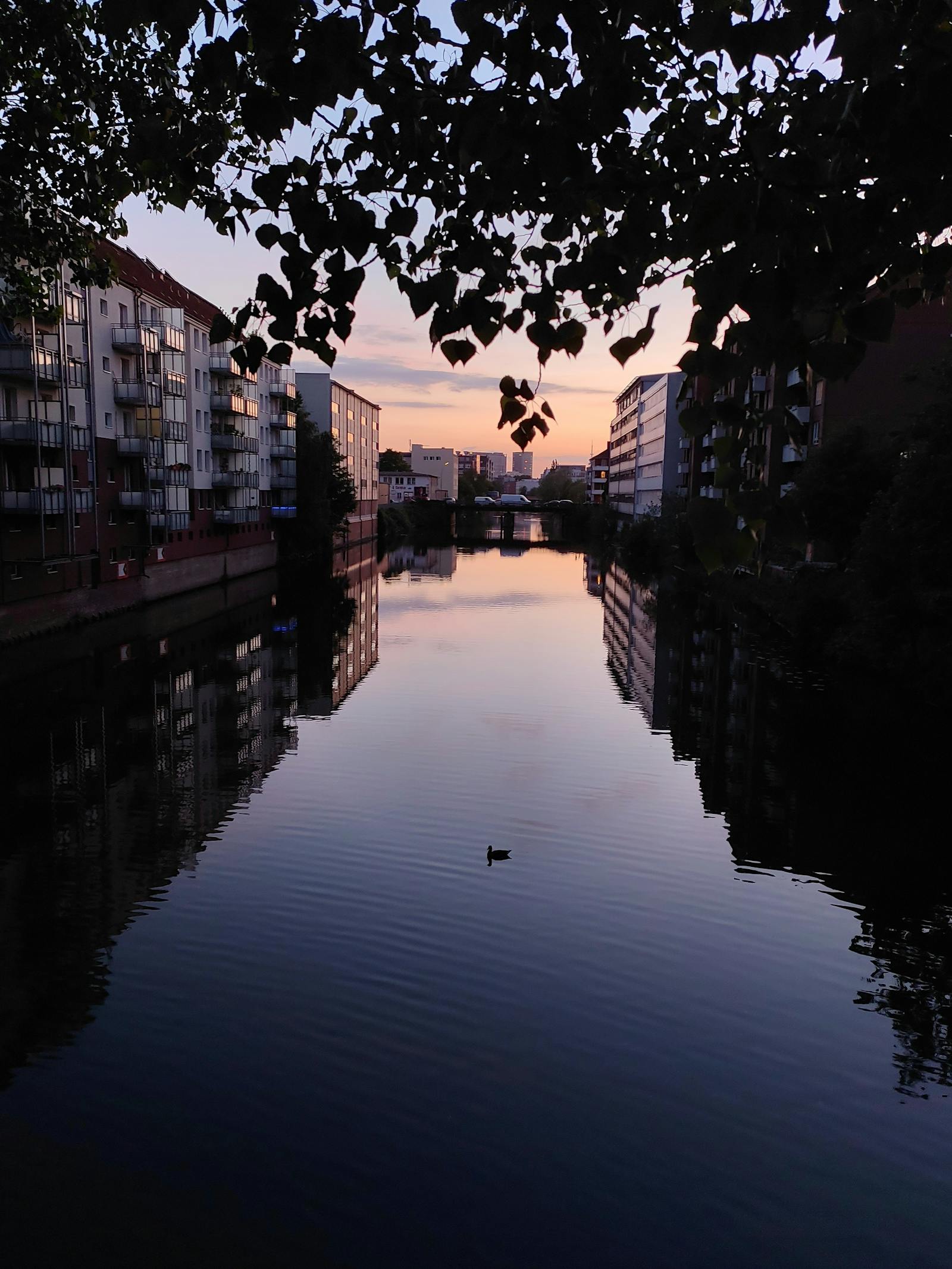 Doctor and patient discussing brain imaging results on a tablet