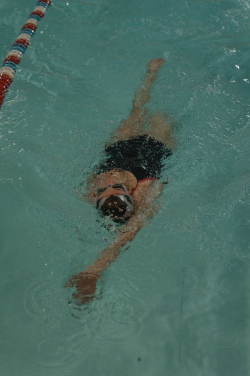 Free Adult female swimmer wearing swim cap and goggles practicing backstroke in indoor swimming pool. Stock Photo