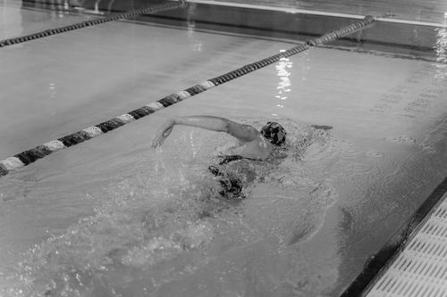 Free A swimmer in a monochrome photo captured mid-stroke in an indoor swimming pool. Stock Photo