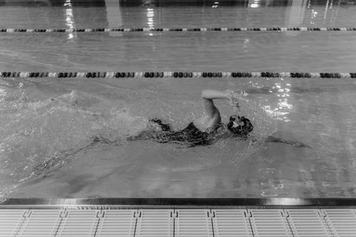 Free Focused athlete swimming in an indoor pool, captured in black and white. Stock Photo