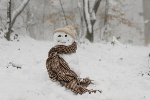 免費 棕色和白色的熊毛絨玩具在積雪的地面上 圖庫相片