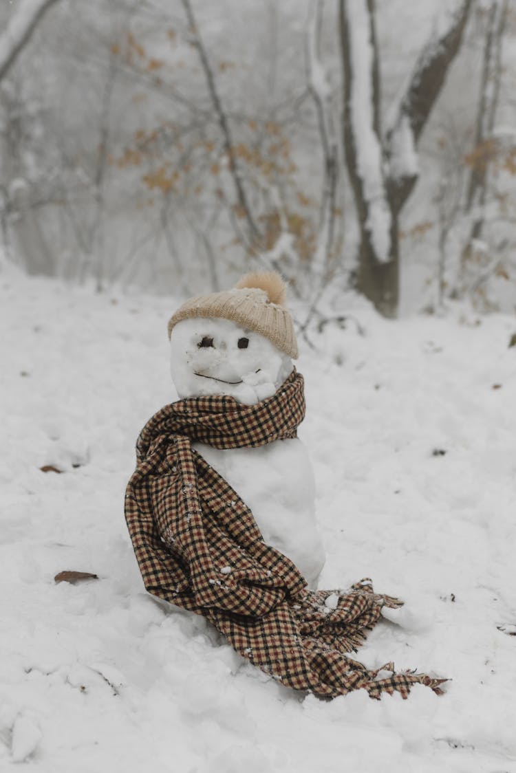 Snowman With A Scarf