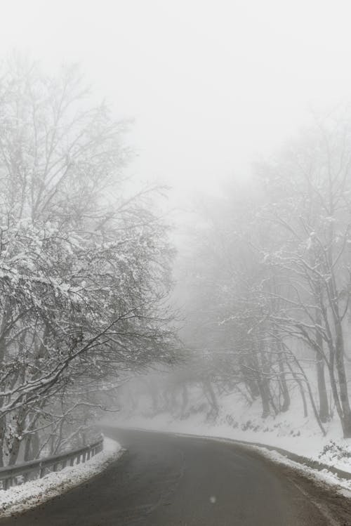 Empty asphalt road surrounded with trees in snow in foggy weather on winter cold day