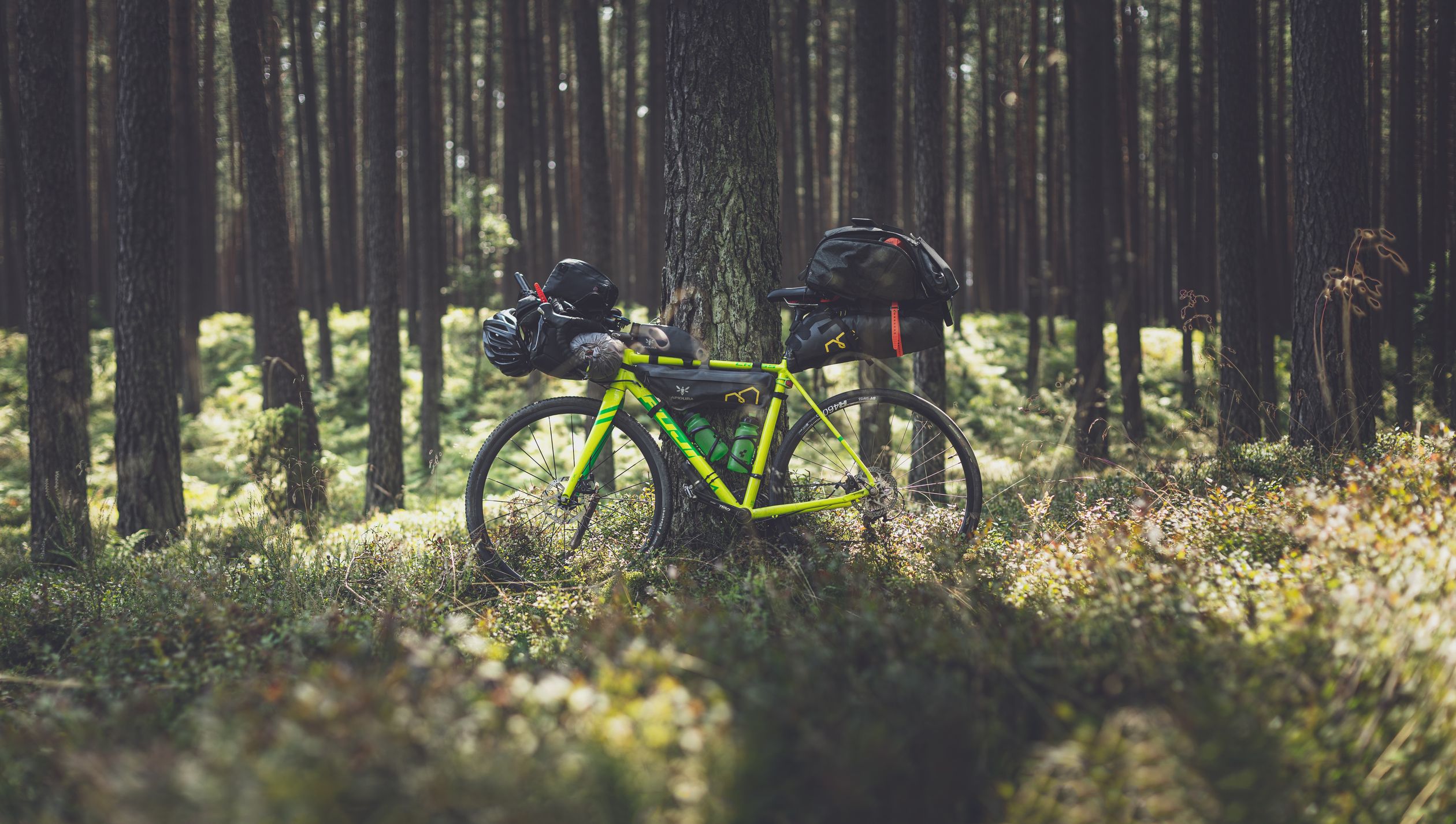 Loaded bikepacking bicycle leaning against a tree in a mountain forest