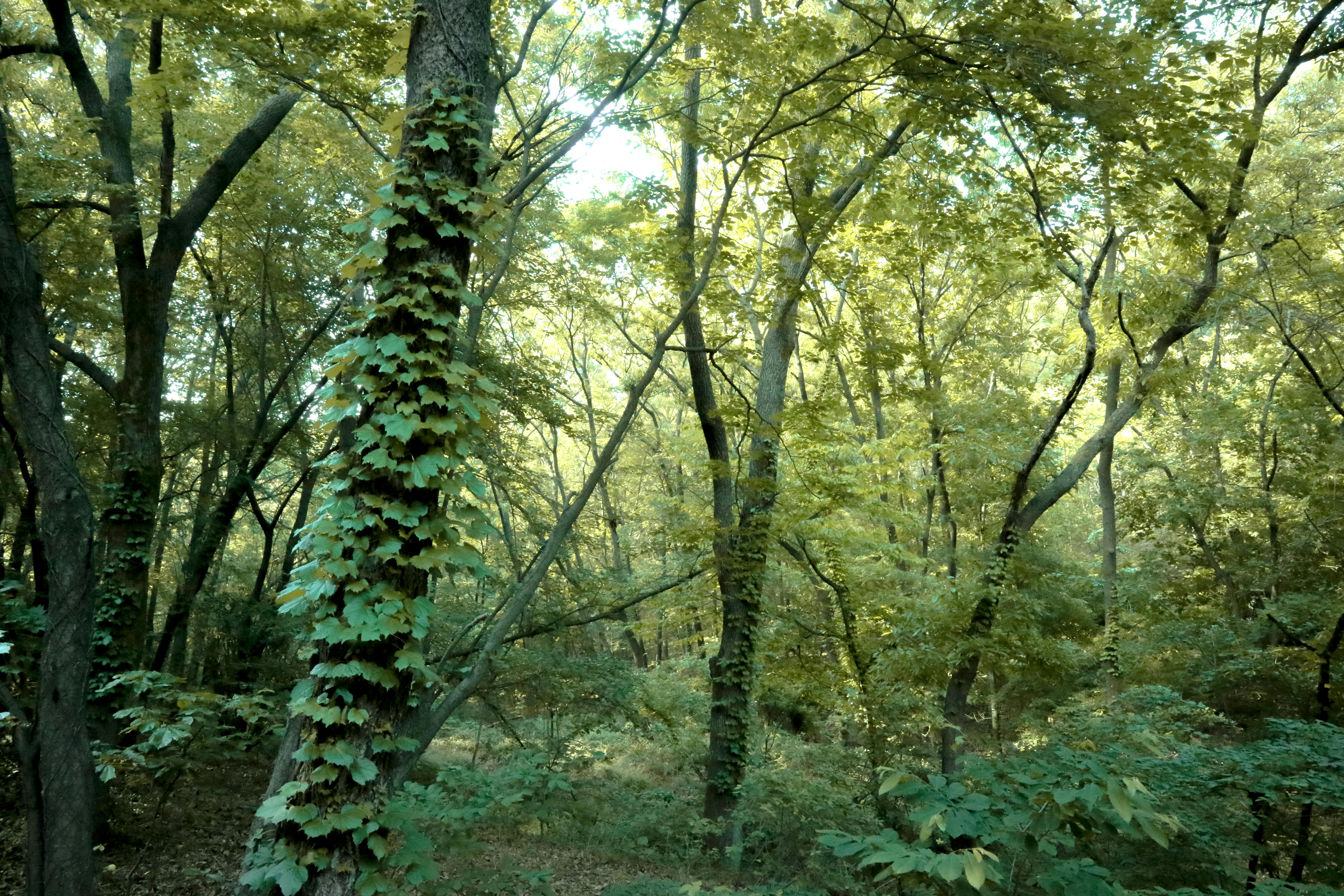 Smoke rising over Middle East conflict